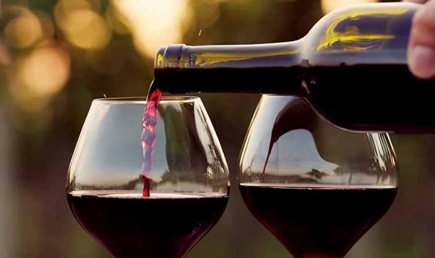 Bourgogne Undervisning