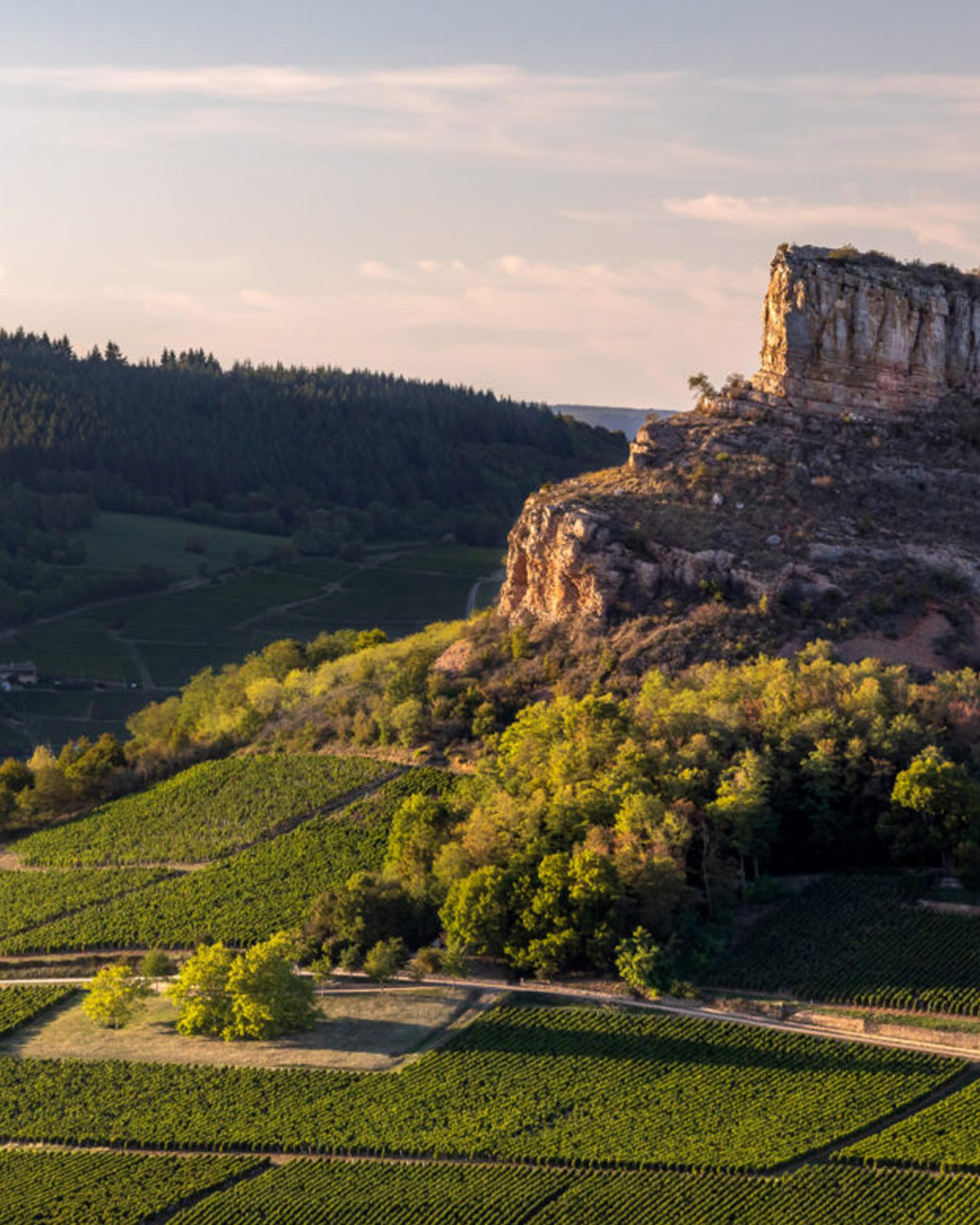 21/10/26 Domaine Deux Roches på Norsminde kro